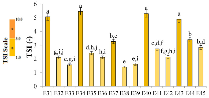 TSI values for systems E31–E45, stored for 31 days at 25 °C. a–j—different letters denote statistically significant differences between the means (p ≤ 0.05).