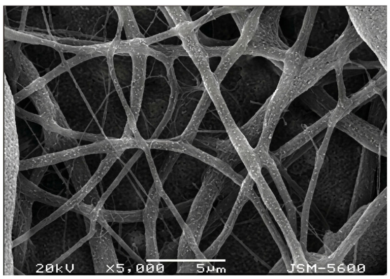 SEM image of PVA-mBN/Hemp nanofibers.