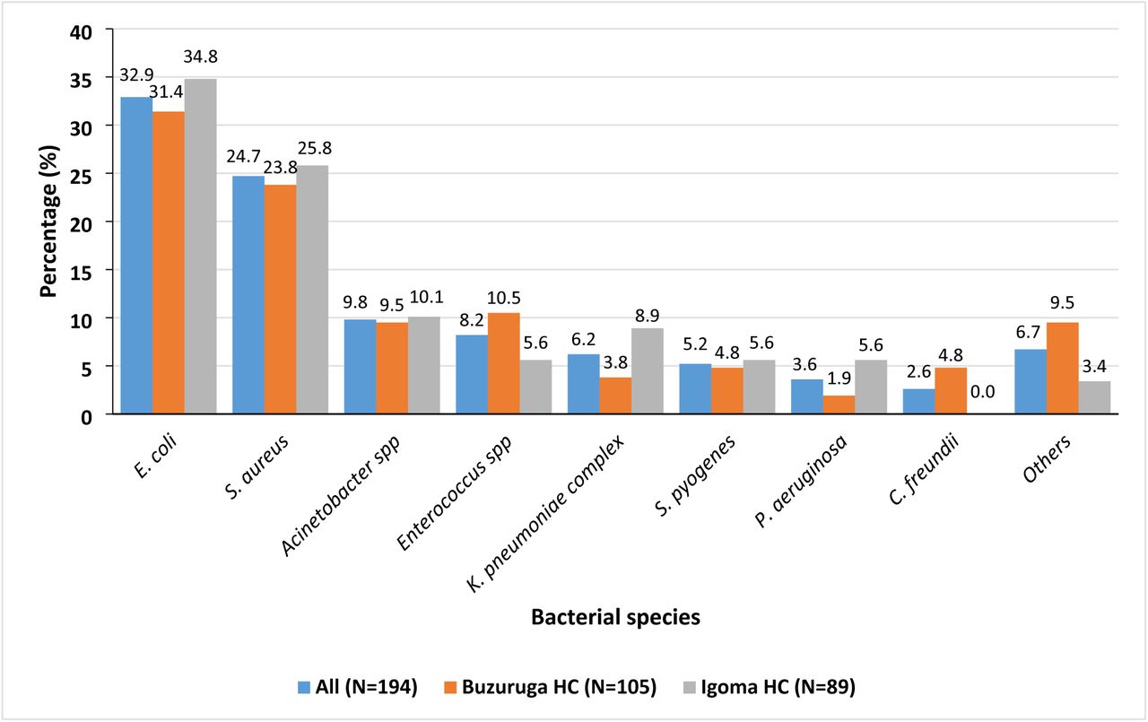 The proportions of bacterial species causing community-acquired urinary tract infections at Buzuruga and Igoma Health Centers in Mwanza, Tanzania.*All (n=13): Morganella morganii (n=3), Enterobacter cloacae complex (n=2), Citrobacter koseri (n=1), Klebsiella oxytoca (n=1), Pseudomonas fluorescens (n=1), Proteus mirabilis (n=1), Pseudoglutamicibacter cumminsii (n=1), Streptococcus agalactiae (n=1), Staphylococcus epidermidis (n=1), and Staphylococcus haemolyticus (n=1). Buzuruga HC (n=10): Morganella morganii (n=3), Enterobacter cloacae complex (n=1), Citrobacter koseri (n=1), Klebsiella oxytoca (n=1), Pseudomonas fluorescens (n=1), Pseudoglutamicibacter cumminsii (n=1), Staphylococcus epidermidis (n=1), and Staphylococcus haemolyticus (n=1). Igoma HC (n=3): Enterobacter cloacae complex (n=1), Proteus mirabilis (n=1), and Streptococcus agalactiae (n=1).