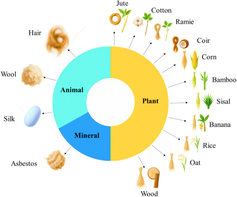 Classification of natural fibers based on origin.