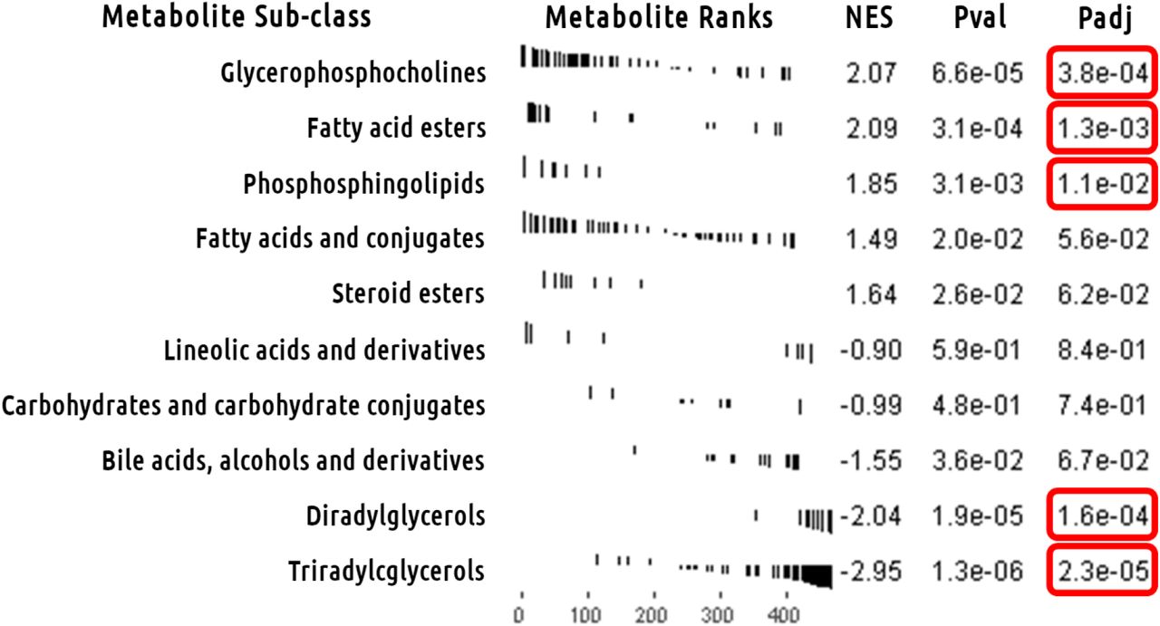 Metabolite Set Analysis of Univariate Model Meta-analysis