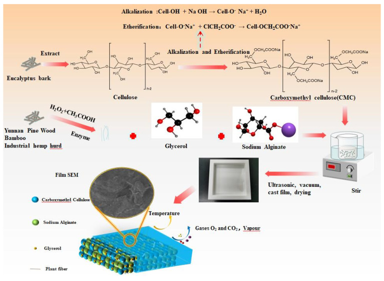Preparation of CMC composite films.