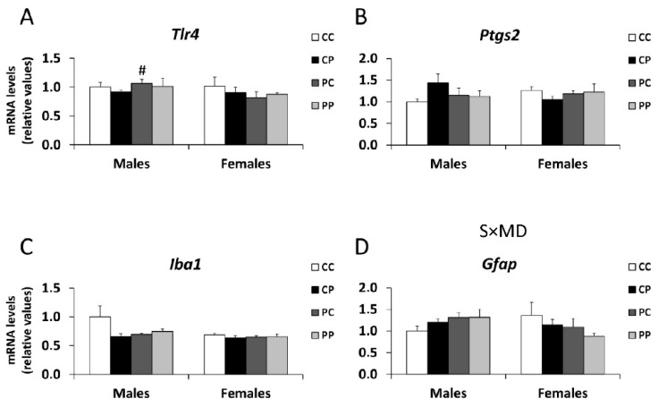 Effect of maternal and/or offspring exposure to a free-choice palatable (P) diet on the relative mRNA levels of: Tlr4 (A), Ptgs2 (B), Iba1 (C) and Gfap (D) in the prefrontal cortex of male and female offspring in adulthood. Data are expressed as the mean ± S.E.M. (n = 6). Student´s t test: # p < 0.05 vs. CP males or CP females. SxMD: sex and maternal diet interaction.