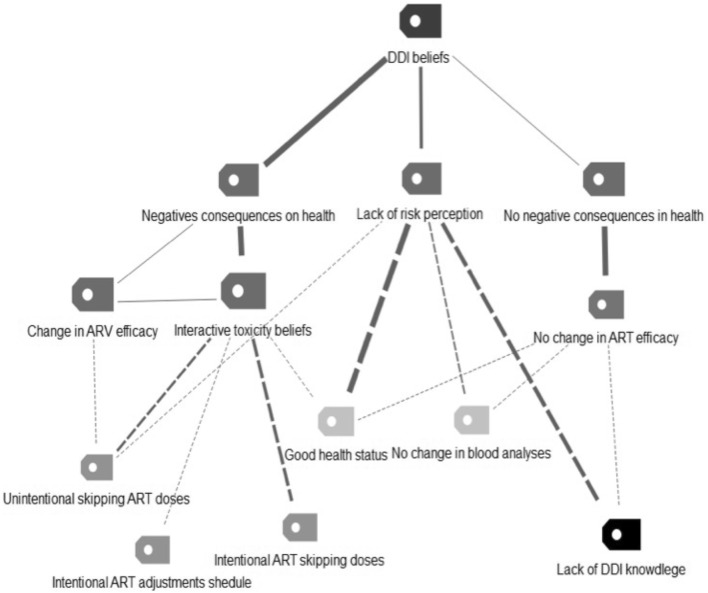 Map of the relationships between categories related to DDIs beliefs