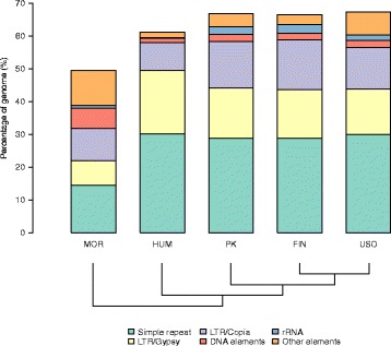 Genome characterization by Repeat explorer. The graph based clustering algorithm (RE) characterized 64.5%, 64.5%, 65.2%, 60.1% and 43.3% of genome to be most high and medium copy number regions in M. notabilis (MOR), H. lupulus (HUM), C. sativa PK, Finola (FIN), and USO31 (USO), respectively. Cladogram modified from van Bakel et al. [30]