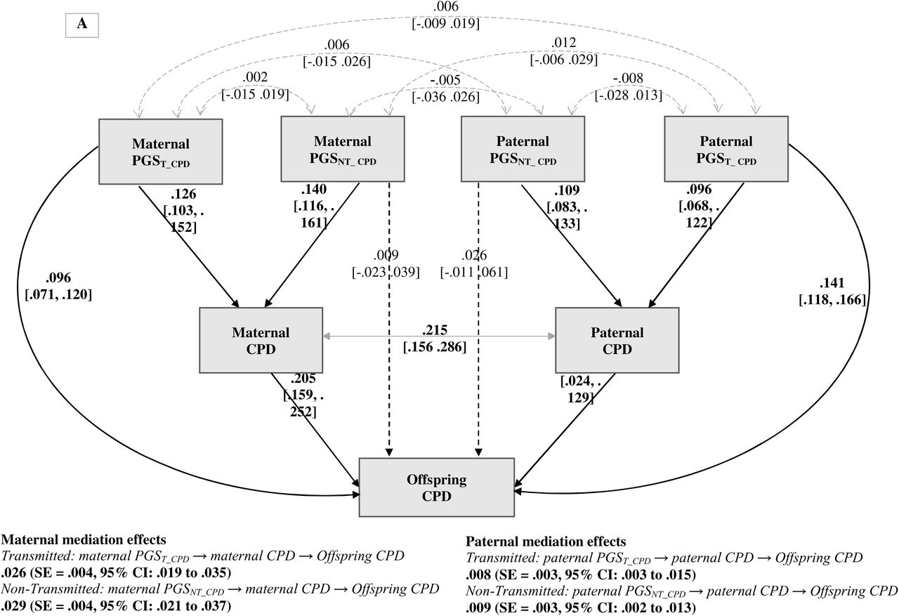 Mediation analysis using structural equation modeling: maternal and paternal smoking quantity as mediators of the associations between transmitted (PGST) and non-transmitted (PGSNT) polygenic scores and offspring smoking outcomes. Note. All models adjust for offspring sex and age. Solid line and bold indicate a significant pathway, and dashed line represent a non-significant pathway. Reported effects are standardized estimates with bootstrapped 95% CI. A. Cigarettes per day. Total effect of maternal transmitted: βtotal =.122, SE =.012, 95% CI [.098, .145] and non-transmitted: βtotal = .038, SE = .015, 95% CI [.008, .067]. Total effect of paternal transmitted: βtotal =.150, SE =.012, 95% CI [.127, .172] and non-transmitted: βtotal =.033, SE = .018, 95% CI [- .003, .068]. B. Pack-years. Total effect of maternal transmitted: βtotal = .081, SE= .011, 95% CI [.060, .102] and non-transmitted: βtotal = .023, SE = .013, 95% CI [-.003, .048]; Total effect of paternal transmitted: βtotal = .102, SE =.011, 95% CI [.082, .124] and non-transmitted: βtotal = .031, SE = .017, 95% CI [-.002,.063].