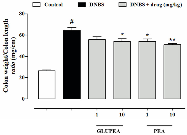 Effect of GLUPEA on the colon weight/colon length ratio in dinitrobenzene sulfonic acid (DNBS)-induced colitis in mice. Changes in the colon weight/colon length ratio from control and DNBS-injected mice in the presence or absence of orally administrated PEA-um (1–10 mg·kg−1) or GLUPEA (1–10 mg·kg−1). Mice were weighed before DNBS (or vehicle) injection and immediately before killing. Tissues were analysed 3 days after vehicle or DNBS injection. PEA-um (1–10 mg kg−1) or GLUPEA (1–10 mg kg) was administered by oral gavage once a day for three consecutive days starting 24 h after the inflammatory insult. Data are the mean + s.e.m. of a single experiment, with 15 mice for each experimental group. Statistical analyses were carried out using one-way ANOVA followed by Dunnett’s multiple comparisons test (# p < 0.0001 versus control (i.e., mice without intestinal inflammation); * p < 0.05, ** p < 0.01, versus DNBS).