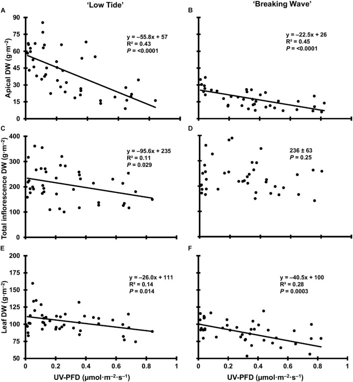 The apical inflorescence dry weight (DW) of Cannabis sativa ‘Low Tide’ (A) and ‘Breaking Wave’ (B), the total inflorescence DW of ‘Low Tide’ (C) and ‘Breaking Wave’ (D) and the leaf DW of ‘Low Tide’ (E) and ‘Breaking Wave (F) in response to increasing UV-PFD. Each datum is a single plant.