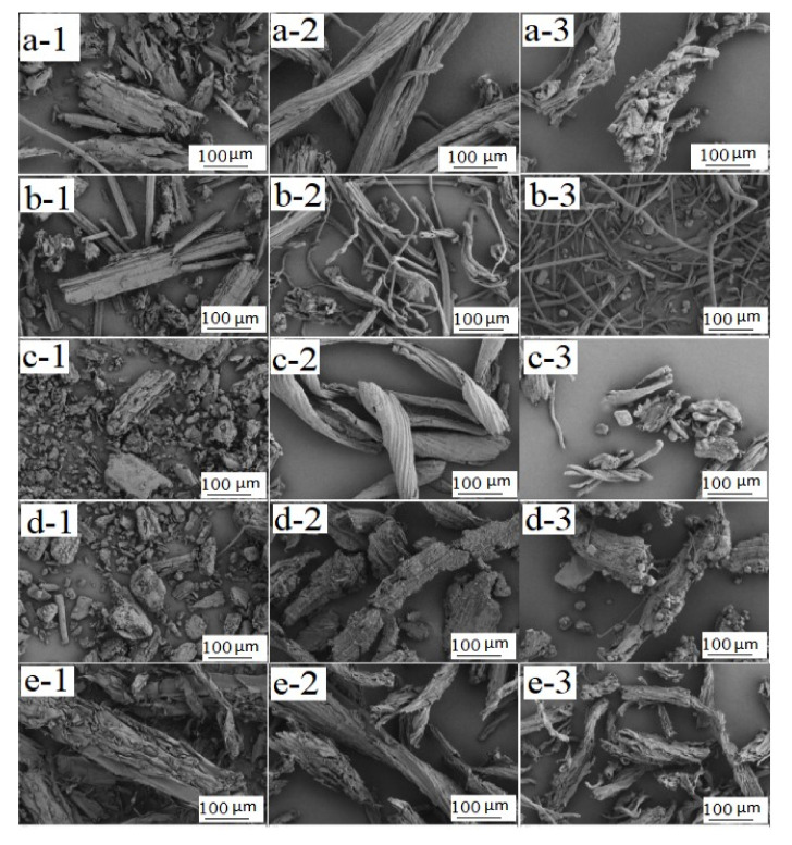 SEM images showing microstructure differences for the (1) the raw material, (2) the extracted cellulose, and (3) the resulting CMC derived from (a) pine wood, (b) bamboo culm, (c) pine needles, (d) bamboo leaves, and (e) hemp hurd.