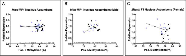 Relationship between DNA methylation at CpG site 5 and gene expression for Mtss1l in the NAc. Relationship between DNA methylation and gene expression for Mtss1l in A all sexes combined; B males only; and C females only. Pearson correlation R square and p-values are reported. Control offspring, black circles with solid regression line; EE offspring, blue triangles with dotted regression line