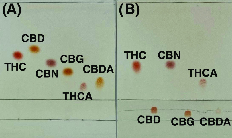 THC, CBD, CBN, CBG, THCA, and CBDA standards (from left to right) loaded and separated on (A) an unmodified silica gel TLC plate and (B) an Ag(I)-TLC plate.