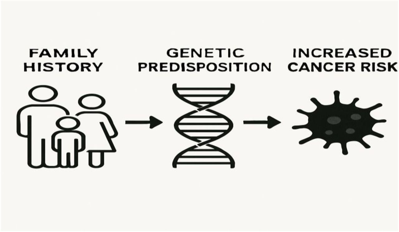 Conceptual Illustration of Family History and Cancer Risk