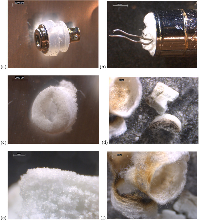 10-80x stereozoom microscope images of components from new CCell THC cartridge.a) battery contact in clear, rubbery gasket, of a slightly different design than that shown for the CCell and TKO cartridges. b) wire leads to filament embedded in fibrous insulation plug a) fibrous plug detail, made of a different material than the CCell and TKO cartridge end plugs. b) broken apart ceramic and fibrous wicking/insulation showing oil-free white color, and burn marks that are less severe than on the used CCell and TKO ceramics. C) detail of porous ceramic. D) detail of insulation.