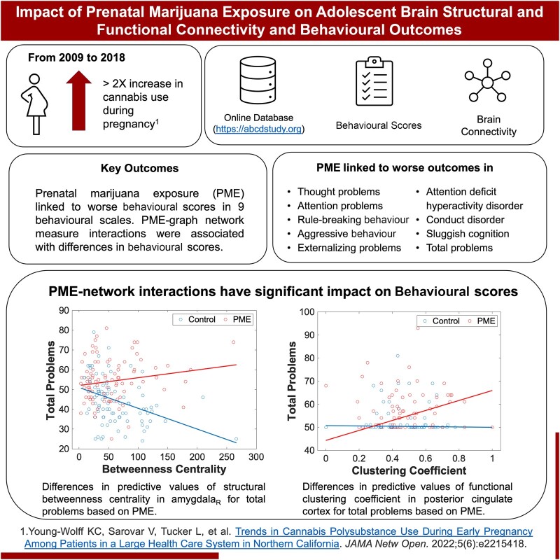 Graphical Abstract