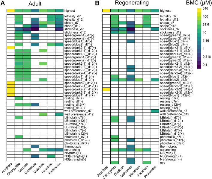 Comparison of OP toxicity. Heatmaps comparing the benchmark concentrations (BMCs) for the OPs in adult (A) and regenerating (B) planarians. The first row shows the highest tested concentration. For outcome measures that can have effects in both directions, the BMCs are separated by either the positive (+) or negative (-) direction. For readability, speed endpoints that were inactive in both adult and regenerating planarians are not shown. LB: locomotor bursts; NS: noxious stimuli.