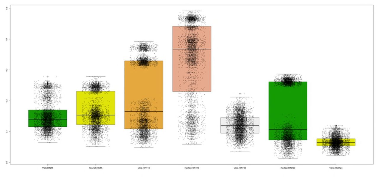 Samples of mislabeled tiles from five tissues partially overlapping in the VGG-20 UMAP embedding.