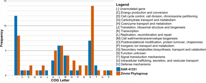 Genes unique to the zinnia phylogroup and DAR 41331, grouped by functionality in COG categories. Frequency shows how many genes belong to each category.