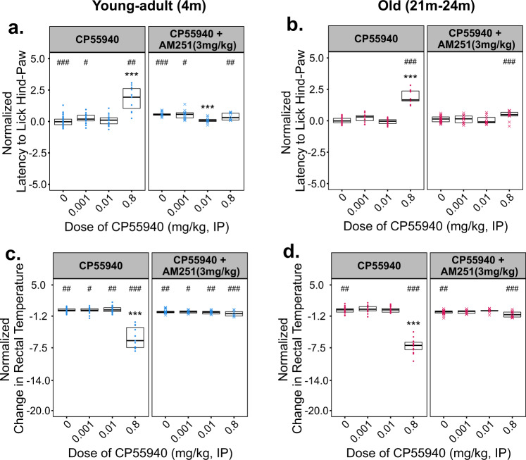 Effects of CP55940 co-administered with the CB1 inverse agonist AM251 on nociception and thermoregulation in young–adult (4 m) and old (22 m) male C57BL/6 mice.Varying doses of CP55940 were administered alone or in a pre-mixed solution with 3 mg/kg of AM251 to young–adult and old male mice. a, b Latency to lick the hind-paw of young–adult (a) and old (b) male mice when tested on the hot plate 60 m after drug injection. c, d Change in rectal temperature of young–adult (c) and old (d) male mice 60 m after drug injection. All data have been normalized to the responses of vehicle-treated age-matched control animals which were tested at the same time. Individual data points for each testing group are overlaid on Tukey-style boxplots. The lower and upper edges of each box represent the first and third quartiles, respectively. The middle horizontal line in each box depicts the median of that dose/age group. Sample sizes for every treatment group and figure panel are listed in Supplemental Fig. 5. Significant omnibus results were followed by planned post hoc contrasts of each dose vs. vehicle-treated control groups using Dunn’s method. The false discovery rate was corrected for using the Benjamini, Hochberg, and Yekutieli method. Within an age group, significant differences (P < 0.05) between a given dose and the vehicle-treated response (0 dose) are indicated using asterisks (*). Differences between CP55940 alone and CP55940 + AM251 at a given dose are indicated by pound signs (#).