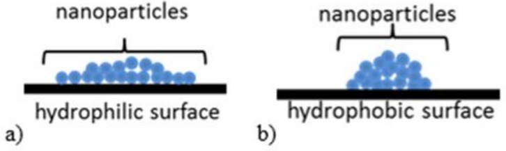 A scheme of the ZnO NPs on: (a) hydrophilic; and (b) hydrophobic surface after drying.