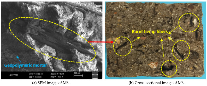Micro and macro image of burnt hemp fibers after 600 °C.