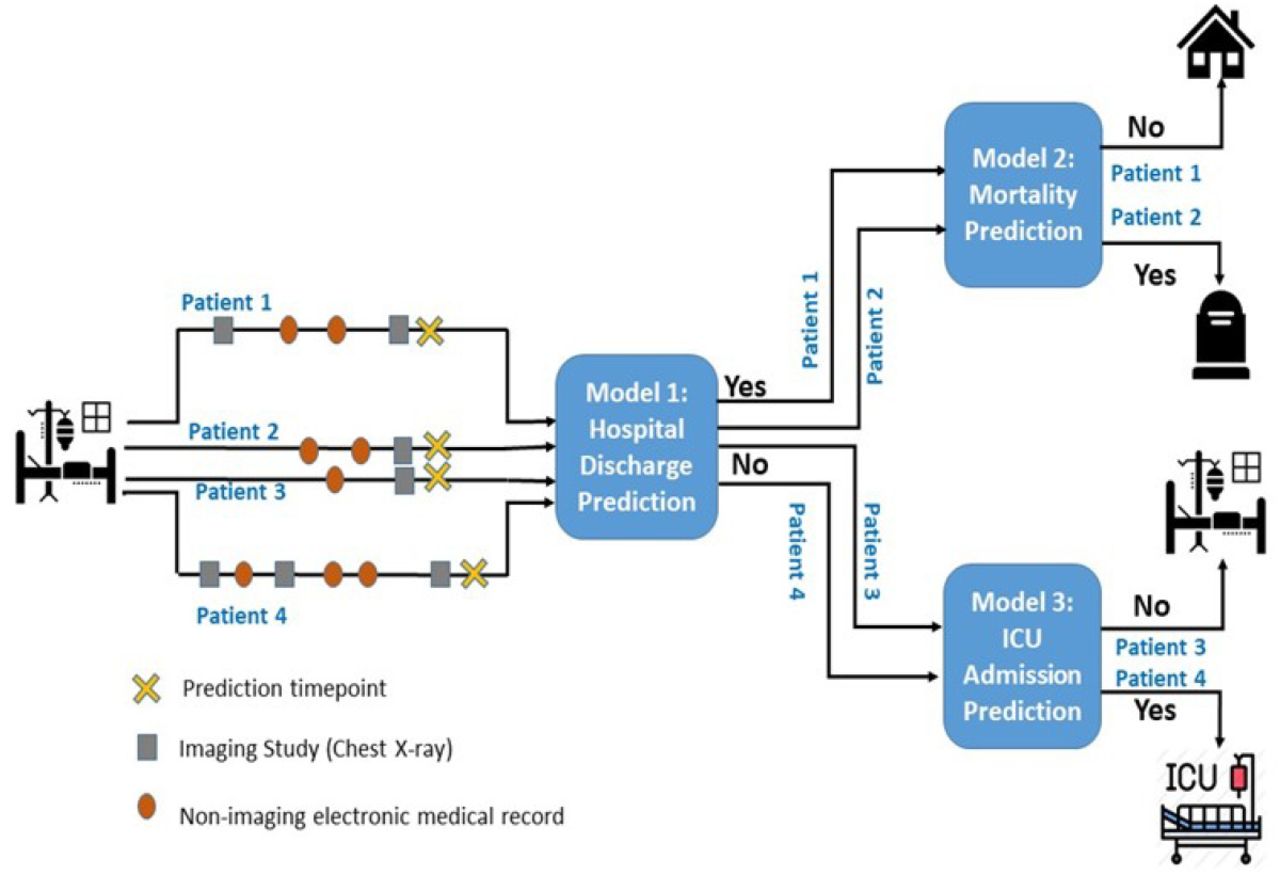 Branched framework for disease trajectory prediction with three sequential decision points (highlighted in blue box)