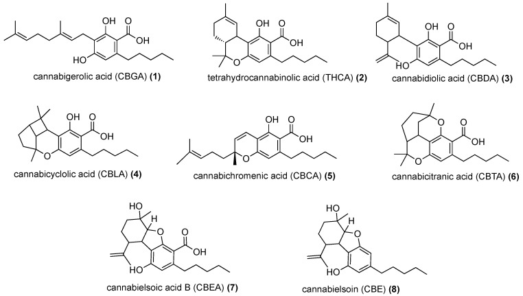 Cannabinoid products (2–8) derived from CBGA (1).