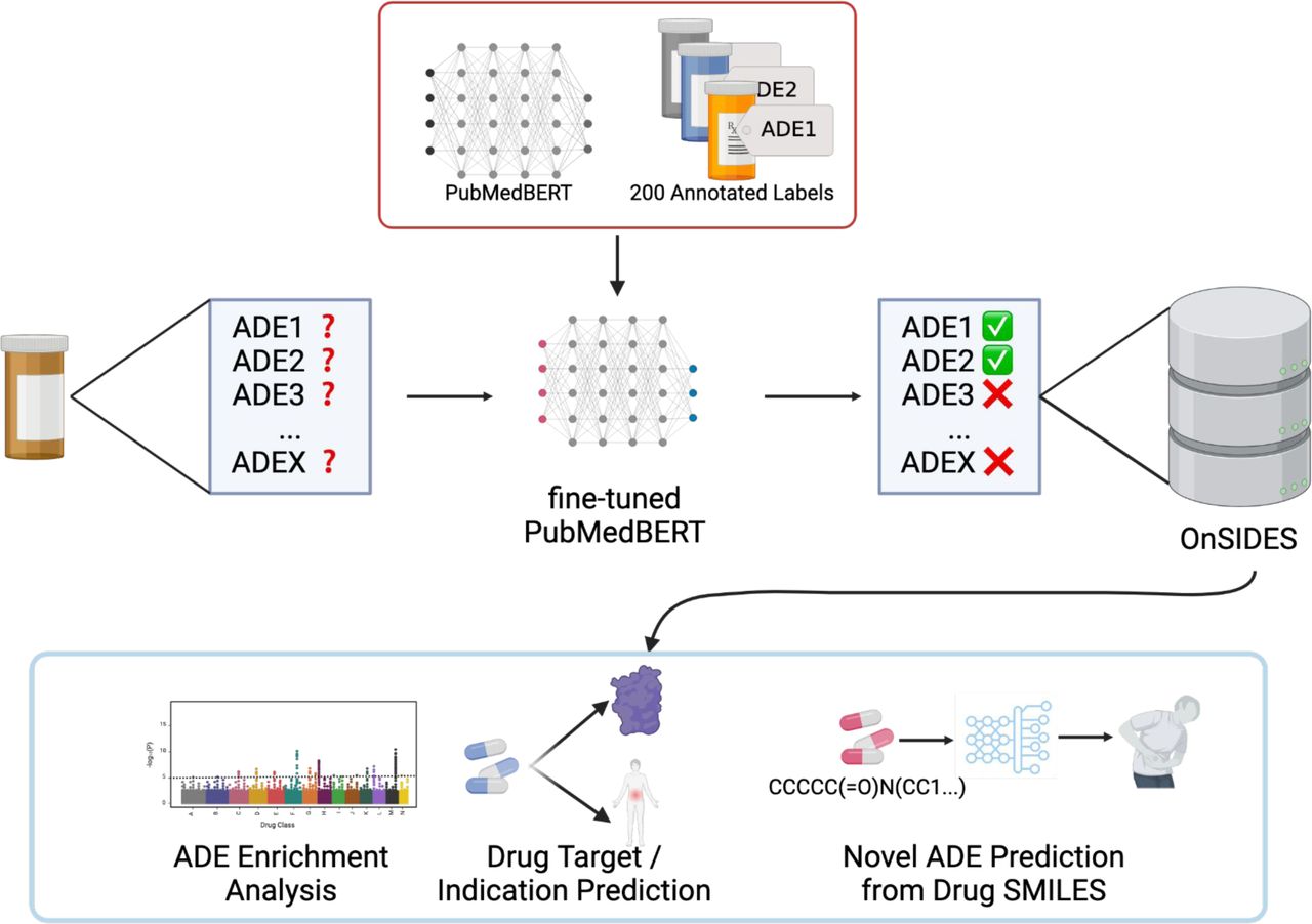Graphical Representation of the OnSIDES Database Generation Process