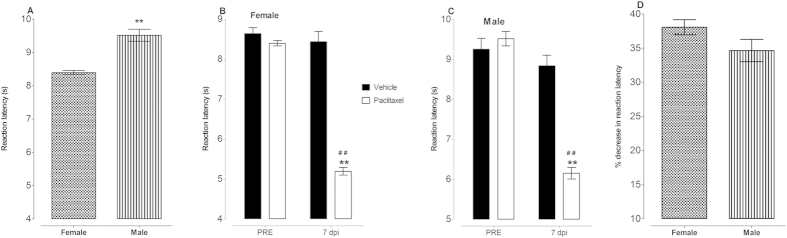 Reaction latency to thermal nociception and paclitaxel-induced thermal hyperalgesia in female and male BALB/c mice. (A) Baseline reaction latency times taken in hot plate test before administration of paclitaxel (n = 48 female mice and 52 male mice) **p < 0.01 compared to female mice. Thermal hyperalgesia in (B) female mice and (C) male mice at day 7 post first inoculation of paclitaxel (administered at 2 mg/kg, i.p. for 5 consecutive days; for females n = 8 vehicle-treated and 48 paclitaxel-treated mice and for males n = 10 vehicle-treated and 52 paclitaxel-treated animals). **p < 0.01 compared to drug vehicle at the same day after treatment and ##p < 0.01 compared to pretreatment (PRE) values. (D) Percentage decrease in reaction latency times (hyperalgesia at day 7 post first inoculation of paclitaxel, administered at 2 mg/kg, i.p. for 5 consecutive days; n = 48 female mice and 52 male mice).