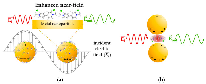 (a) The surface plasmon resonance phenomena. (b) The hotspot area of metal nanoparticle dimmer structure due to incident polarization parallel to the interparticle axis.
