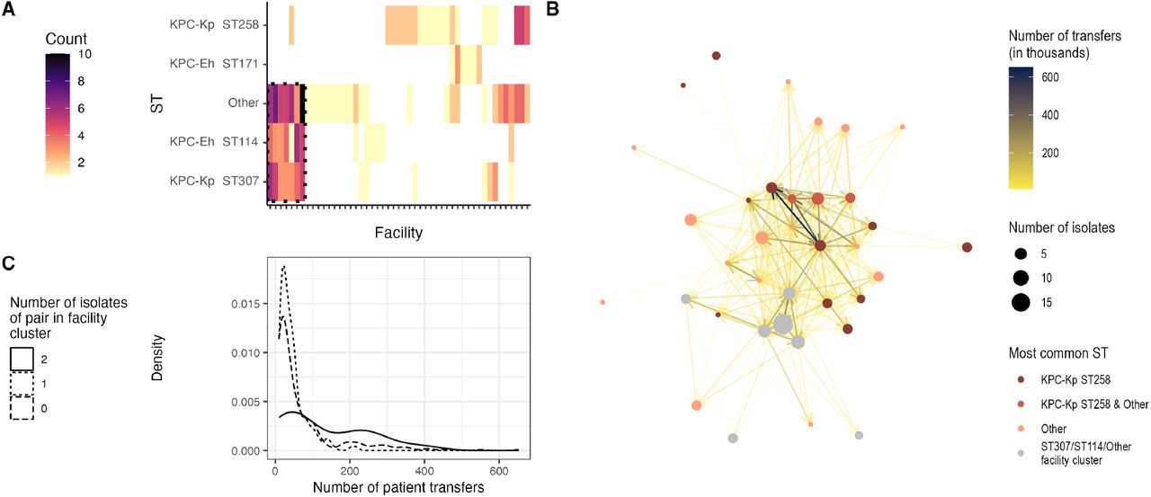 Distinct facility sub-networks in Tennessee (TN) harbor different lineages.(A) Number of patient facility exposures in the prior year for each facility and ST. Each patient may be represented more than once if they have more than one facility exposure. A cluster of facilities identified using the complete linkage clustering method (dashed box) are common in patients with ST114, ST307, and other isolates. (B) Patient transfer network of facilities with at least one whole-genome sequenced isolate plotted using the Kamada-Kawai algorithm. The cluster of facilities identified in the heatmap in panel A (Kp ST307/Ec ST114/Other facility cluster) are also clustered in the network. (C) Number of patient transfers for facility pairs where 0, 1, or 2 of the facilities are in the facility cluster identified in the heatmap in panel A. Facility pairs where both facilities are in the cluster have more patient sharing than facility pairs where only 0 or 1 of the facilities is in the identified cluster. ST=sequence type; Eh=E. hormaechei; Kp=K. pneumoniae.