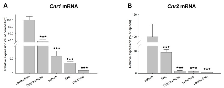 (A,B) Relative expression levels of Cnr1 and Cnr2 transcripts in cerebellum, hippocampus, spleen, liver and pancreas as means (±S.E.M.) of n = 4–6 rats, *** p < 0.001.