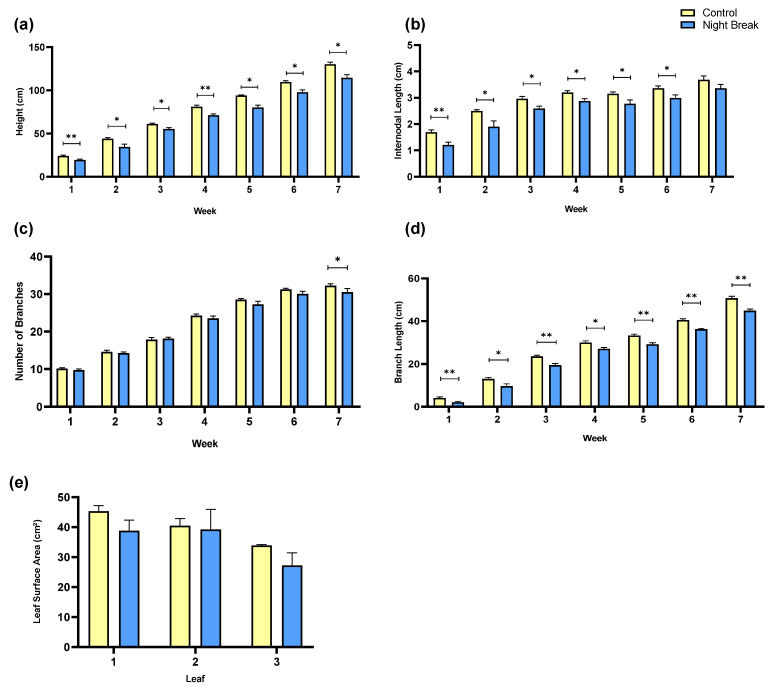 Morphological growth by treatment. (a) Weekly plant height means of C. sativa by treatment, comparing the average plant height between the control group and the NB group over seven weeks of vegetative (week 1–4) and flowering (week 5–7) growth. (b) Weekly means of internodal lengths by treatment. This graph compares the average internodal lengths, or distance between branches on the main stem between the control and the NB group. (c) Weekly mean number of branches of C. sativa by treatment. This graph compares the number of branches between the control group and the NB group. A statistically significant difference was observed between the treatment groups for week 7. (d) Weekly means of axillary branch length by treatment. For each plant we measured every axillary branch from its node of origin on the main stem to the branch tip, then averaged across branches to a plant value and to a group mean. (e) Mean leaf surface area of C. sativa by treatment. This graph compares the average leaf surface area between the control group and the NB group including the first three true leaves beneath the apical bud. Error bars represent standard error. Asterisks indicate statistically significant differences between treatments at each time point (p < 0.05 (*), p < 0.01 (**)), determined using an analysis of variance (Student’s paired t-test). Similar statistical analyses are shown for Figure 2 and Figure 3.