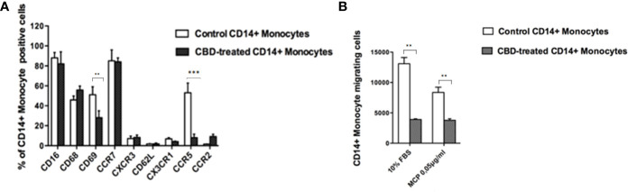CBD alters monocytes’ migration to MCP-1. Monocytes were isolated as indicated in Materials and methods section. Psoriatic individuals’ monocytes were treated with CBD (10μM) or with vehicle alone (DMSO 0,1%) for 18 hours. (A) The bar graph shows the flow cytometry histogram profile of CD16, CD68, CD69, CCR7, CXCR3, CD62L, CX3CR1, CCR5 and CCR2 expression at the cell surface of CD14+ monocytes. Pairwise comparisons statistically significant are indicated. (B) The histogram shows the percentage of CD14+ monocytes migrating in response to chemotactic stimuli (monocytes’ migration was observed in free medium with addition of MCP-1 0,05 μg/mL or free medium +10% FBS). (ANOVA; **p<0,01; ***p< 0,001).