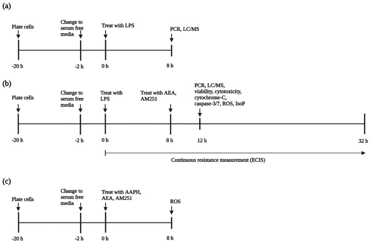 Experimental design to determine the effect of arachidonoylethanolamide (AEA) on bovine aortic endothelial cells (BAEC) (N = 6). (a) Initial experiment to establish presence of genes related to the endocannabinoid system and concentrations of AEA in response to lipopolysaccharide (LPS) challenge; (b) Experimental design to establish effect of AEA on gene expression, isoprostane production, viability, cytotoxicity, cytochrome-C release, and caspase 3/7 activation in BAEC; (c) Experimental design to establish effect of AEA on reactive oxygen species’ (ROS) production without LPS challenge. Figure created with Biorender.com. AAPH: 2,2′-azobis (2-amidinopropane) dihydrochloride; AM251: 1-(2,4-dichlorophenyl)-5-(4-iodophenyl)-4-methyl-N-1-piperidinyl-1H-pyrazole-3-carboxamide; LC/MS: liquid chromatography/mass-spectrometry; PCR: polymerase chain reaction.