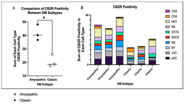 (A) PBMCs isolated from amyopathic and classic DM patients were stained for CB2R, and positivity was measured via flow cytometry. The positivity for the following cell types, CD8, CD4, NKT, NK, CD19, MoDC, M2, M1, cDC, and pDC, were summed and compared for each patient sample according to disease subtype. The median of the amyopathic CB2R positivity was found to be significantly more than the classic CB2R positivity (p < 0.05). (B) CB2R positivity for each cell type for each patient sample was determined via antibody staining and flow cytometry. Each cell type’s CB2R positivity is represented according to the legend on the right. The top 5 cells accounting for the highest CB2R positivity for amyopathic DM are pDC, NKT, cDC, NK, M2 macrophages, and M1 macrophages. The top 5 cells accounting for the highest CB2R positivity for classic DM are NK, NKT, pDC, CD19, and cDC. * p < 0.05.