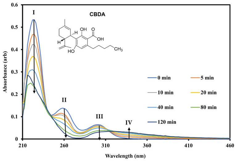 Solution-phase UV–Vis absorption spectra of CBDA in MeOH obtained following irradiation at 280 nm over 0–120 min. The arrows indicate the changes in the UV spectral bands upon photolysis.