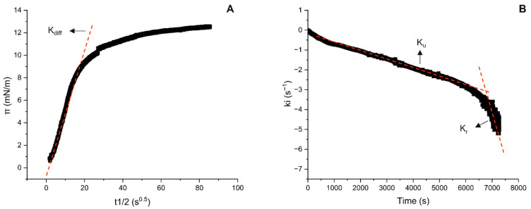 Linear region of the plot of pressure π (mN/m) versus t1/2 (s0.5) to obtain the constant of diffusion kdiff (A) and the two linear regions of the plot of ln[(π7200 − πt)/(π7200 − π0)] to obtain the constants of unfolding and rearrangement ku and kr (B).