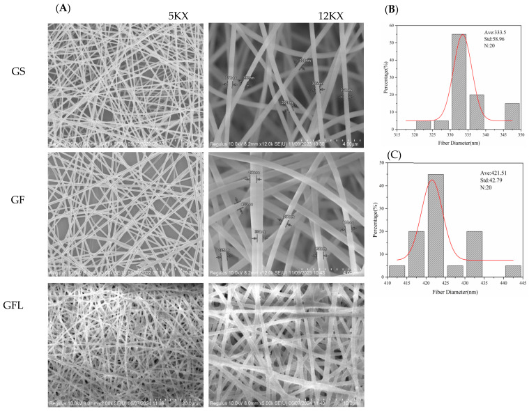 SEM results and diameter distribution statistics of GS, GF, and GFL. (A) GS, GF, and GFL nanofibers. (B) Statistical results of GS diameter distribution. (C) Statistical results of GF diameter distribution.