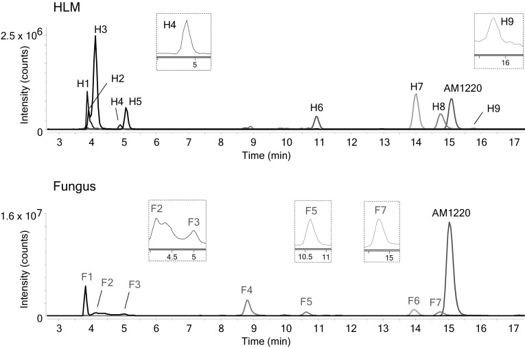 Combined extracted ion chromatograms, from total ion current chromatogram, of AM1220 and its metabolites in human liver microsome (HLM) and fungus incubation