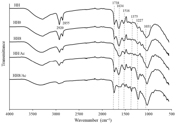 FT-IR spectra of natural HH (HH), water-washed HH (HH0), alkali-treated HH (HH8), acetylated HH (HH/Ac), and alkali-treated and acetylated HH (HH8/Ac) samples.