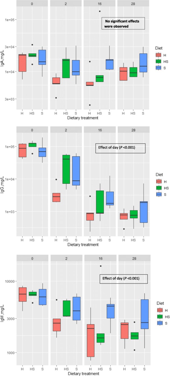 Concentration of immunoglobulins IgM, IgG and IgA, mg/L in colostrum and mature milk of sows (days 0, 2, 16 and 28 of lactation). H = basal diet and hemp seed oil in ratio 95:5, HS = basal diet and mix of soybean and hemp seed oils (50:50) in ratio 95:5; S = basal diet and soybean oil in ratio 95:5; basal diet formulated according to Danish Nutrient Standards for Lactating Sows [24]