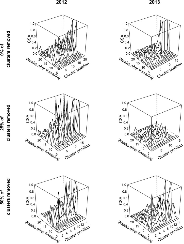 Field data showing the weekly dynamics of cluster symptom appearance (CSA) along the branch, moving away from the trunk (cluster position 1) to the tip of the branch. The rows are separated by the modalities of cluster arrangement, with 0, 25 and 50% of the clusters removed, and the columns are separated by the two years studied, 2012 and 2013.