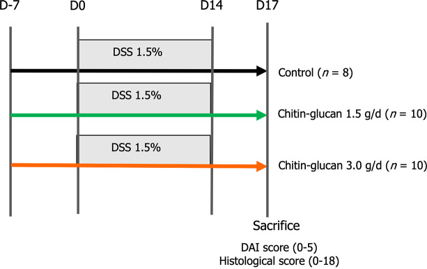 Dextran sodium sulfate-induced colitis in C57BL/6 mice. DSS: Dextran sodium sulfate; DAI: Disease activity index.
