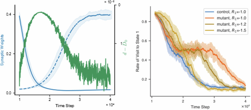 (left) Increased D-serine levels during reverse learning.The blue lines are the evolution of the two synaptic weights during reverse learning of normal mice (same lines of Fig. 4, bottom graph, second phase). The D-serine concentration relative to its maximum value D0 is superposed (green line). The scale for d − D0 is of course different from that of the synaptic weights, and it is drawn on the right axis. The D-serine levels increase during reverse learning and they return to the basal value when the switching is completed. This prediction suggests that the astrocytic regulation of D-serine has the specific function of enhancing plasticity response to changes in the external environment (possibly via increasing the opening probability of NMDAR channels). (right) Increasing the aversiveness of the stimulus recovers learning speed for mutant mice. The rate of visit to state S1 during the second phase of learning is plotted, for control mice with R1 = −1, and for mutant mice with R1 = −1, −1.2, −1.5. The mutant mice show a significant delay with respect to control, for the same values of the reinforcement variable (already discussed in Fig. 4). However, the mutant mice learn faster as the magnitude of R1 increases, and it reaches the speed of the control mice for R1 = −1.5.