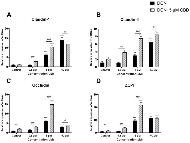 Effects of CBD on DON-induced tight junction gene expression in IPEC-J2 cells. (A–D) Relative mRNA expression levels of tight junction-related genes, including Claudin-1 (A), Claudin-4 (B), Occludin (C), and ZO-1 (D), in IPEC-J2 cells treated with DON (0.5, 5, and 50 μM) alone or pre-treated with 5 μM CBD. Data are presented as mean ± SEM (n = 3). Statistical significance: ** p < 0.01, *** p < 0.001 compared to the control in the same treatment; # p < 0.05, ## p < 0.01, ### p < 0.001 between different treatments at the same DON concentration.