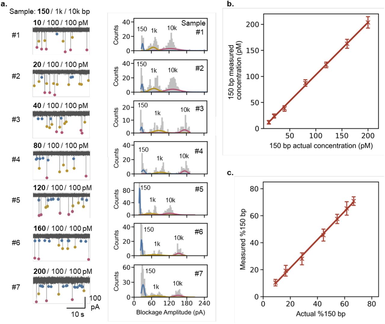 Nanopore sensor-based quantification and qualification of 150 bp dsDNA from different mock samples. (a) Representative I-t traces and counts histograms of the mock samples with variable concentrations (10 – 200 pM) of 150 bp dsDNA, where concentrations of 1 kbp marker (M) dsDNA and 10 kbp dsDNA (HMW) were fixed at 100 pM each. Correlation of measured vs. actual (b) concentration (pM) and (c) % of 150 bp dsDNA. Data has been presented as μ ± σ (n = 3).