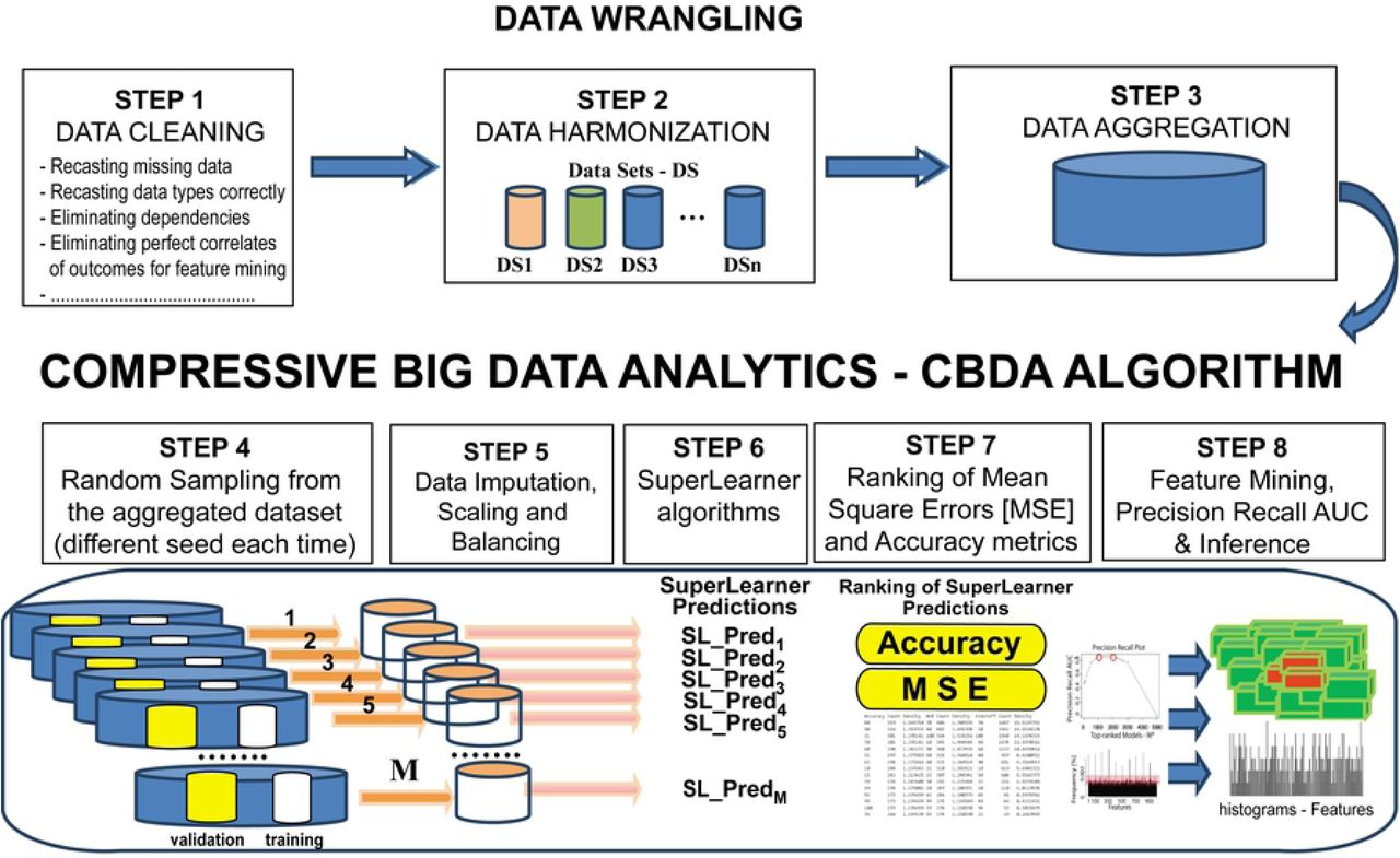 Schematic of the improved CBDA 2.0 workflow.