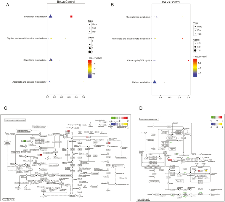 Alt Text: The chart shows the results of combined analysis of transcriptome, proteome and metabolomics. The differentially changed genes, proteins and metabolites are all related to oxidoreductase.