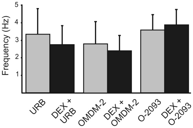 Blockade of anandamide metabolism or transport prevented the effect of DEX.The effect of DEX on mIPSC frequency was prevented in the presence of the fatty acid amide hydrolyse (FAAH) inhibitor, URB597 (10 µM; n=11; P>0.05). Blocking anandamide transport with OMDM-2 (10 µM; n=6; P>0.05) or O-2093 (10 µM; n=6; P>0.05) also prevented the effect of DEX on mIPSC frequency.