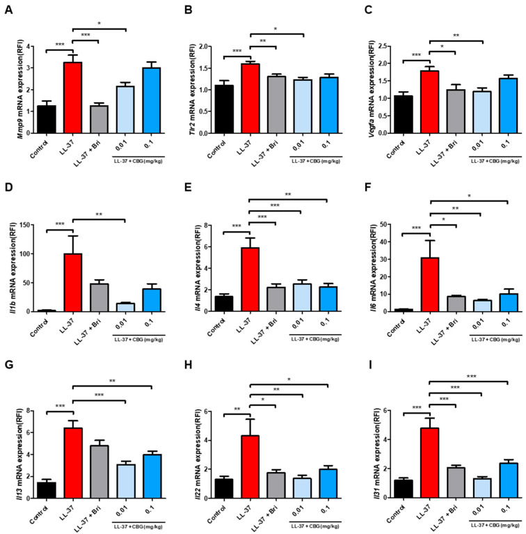 Topical CBG treatment attenuated the expression of inflammation- and angiogenesis-related genes in LL-37-induced rosacea-like mouse skin. Quantitative real-time PCR (qPCR) analysis of mRNA expression levels of (A) Mmp9, (B) Tlr2, (C) Vegfa, (D) Il1b, (E) Il4, (F) Il6, (G) Il13, (H) Il22, and (I) Il31 in the lesional dorsal skin. Gene expression was normalized to that of Actb and expressed relative to that of the control group. Data are presented as mean ± SEM (n = 8). Results represent three independent experiments. Statistical significance was assessed using one-way ANOVA * p < 0.05, ** p < 0.01, and *** p < 0.001 compared to the control and LL-37 groups. Bri, brimonidine; CBG, cannabigerol; TLR2, Toll-like receptor 2; MMP9, matrix metalloproteinase-9; VEGF, vascular endothelial growth factor; IL, interleukin; LL-37, cathelicidin peptide LL-37.